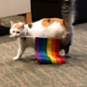 Meet your Posher, August